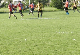 Año 2014