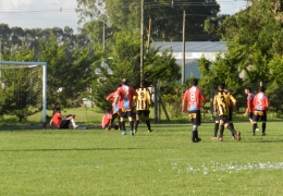 Año 2014
