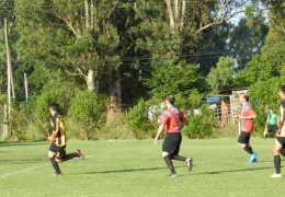 Año 2014