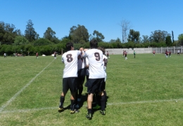 Año 2014