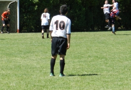 Año 2014