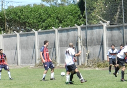 Año 2014