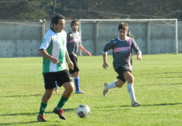 Año 2015
