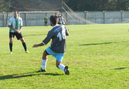 Año 2015