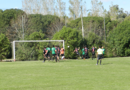 Año 2015