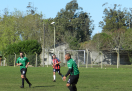 Año 2015
