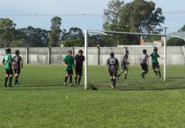 Año 2015