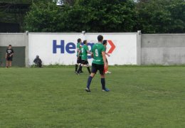 Año 2015