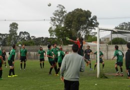 Año 2015