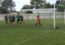 Año 2015