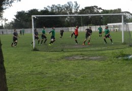 Año 2015