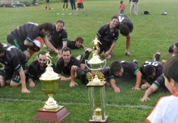 Año 2015