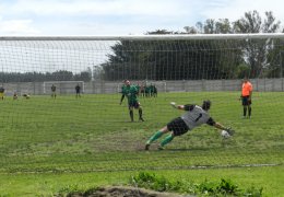 Año 2016