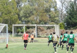 Año 2016
