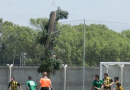 Año 2016