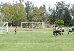 Año 2016