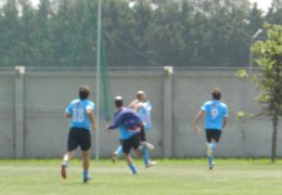 Año 2016