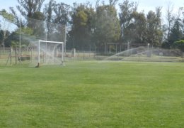 Año 2016