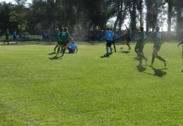 Año 2016