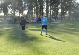 Año 2016