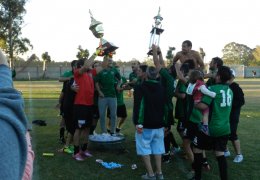 Año 2016