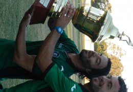 Año 2016