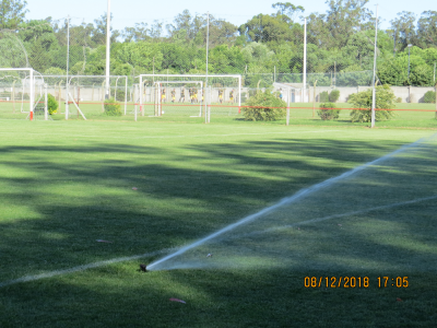 Año 2018