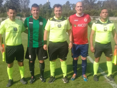 Año 2019